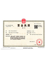 桐城营业执照副本
